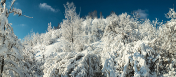 С крещением! / http://www.youtube.com/watch?v=7Jky1hMxrJE