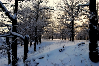 Зима / Зимний закат