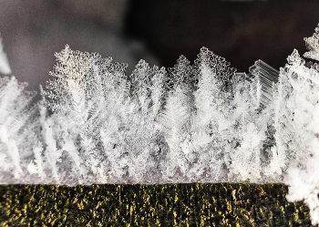 "Сказочный лес" / снег, природа, иней