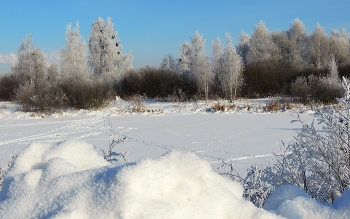 Следы на снегу / ***