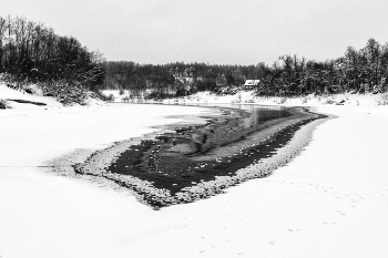 Жизнь вокруг / ***