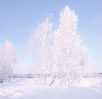 В морозном одеянии / ***