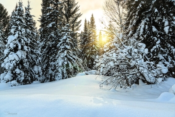Зимний закат / ***