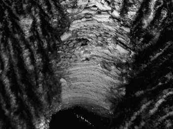 Пейзажизнь / ***