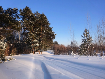 «Где замирает время» / Западная Сибирь. Зима, природа