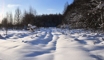 &nbsp; / Крещенский снег