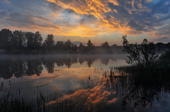 Тишина рассвета / ***