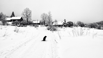 Пейзажизнь / ***
