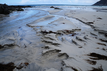 Скоротечный сюжет / ***