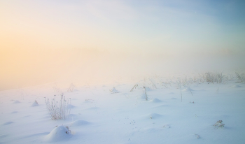 Морозное безмолвие / Сюжеты рассвета , Sigma SD1M