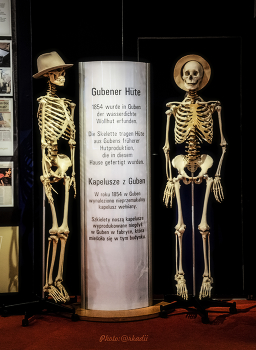 «Проходите, проходите, не стесняйтесь!» / "препарировать не станут"