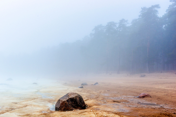 Финский залив. / ***