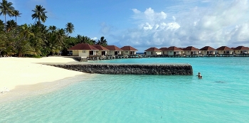 Хорошо в тёплом море после холодов / Хорошо в тёплом море после холодов