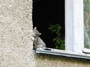 Не пускают на улицу / ***