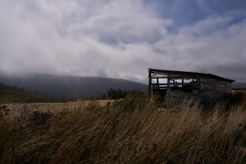 там где вольно дышится / ***