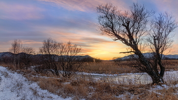 Зимний вечер в полях 1 / Дополнение. По дороге с прогулки у речки. 28.12.25