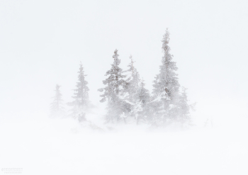 Белый плен / Национальный парк "Таганай", Челябинская область.