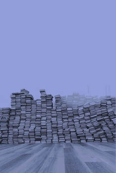 полураспад компетентности / ***