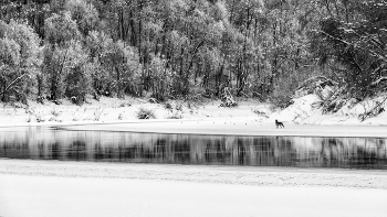 Жизнь вокруг / ***