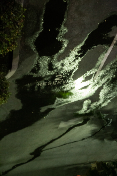 Лунная соната / .....