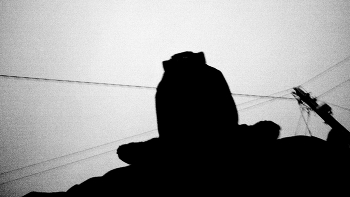 Пейзажизнь / ***