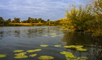 В сентябре. / Озеро Сосновое.