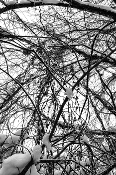 Жизнь вокруг / ***