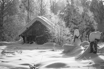 У леса на опушке... / Январские зарисовки.