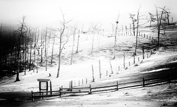 עדן, Eden; Э́ден / после изгнания...