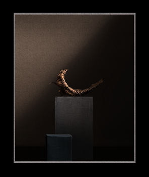 opus № .. / композиция