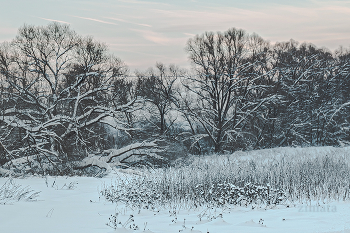 Зимняя картинка-2 / По дороге в Тарусу