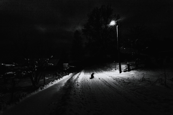 Пейзажизнь / ***