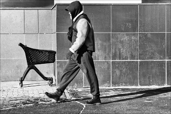 зимний бородач / ***