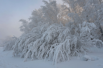 Зимним вечером / Красноярск