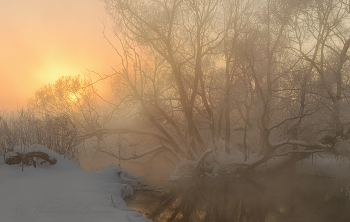 Морозное золото / Зимние сюжеты