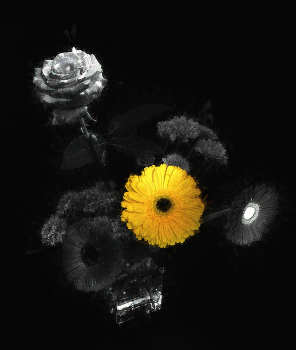 Жёлтая ромашка. / Натюрморт.