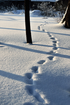 &nbsp; / В городском парке...