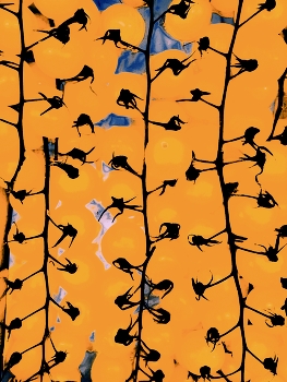 салат из жёлтых помидорок / ***