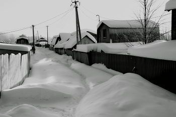 Зимним днём. / Томская область.