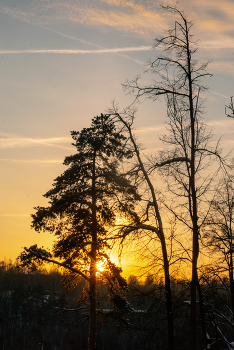 Зимний закат / ***