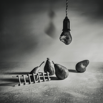 Кандидат / ***