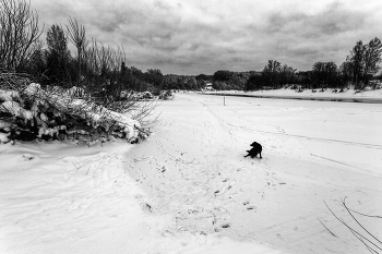 Пейзажизнь / ***