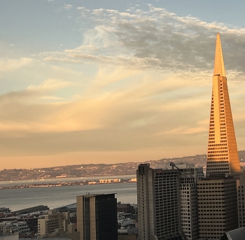 Sunset Transamerica Pyramid / Transamerica Pyramid in San Francisco
