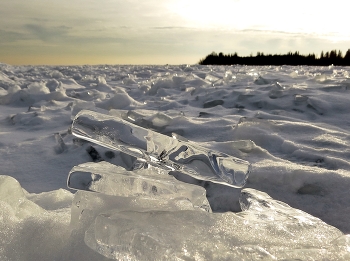 лёд Ладоги / Ладога