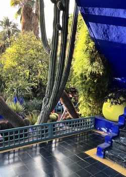 &nbsp; / Garden Majorelle in Marrakesh, Morocco