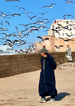 &nbsp; / Atlantic port Essaouira in Morocco