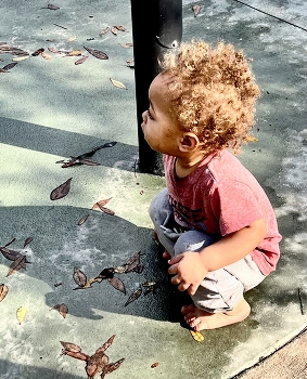 &nbsp; / Toddler watching other children’s play in a park