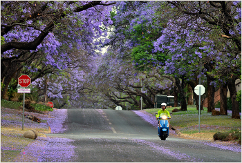 &nbsp; / Претория. ЮАР