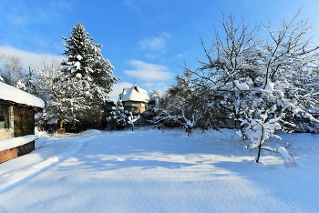 "Хорошо зимой на даче: солнце, неба синева..." / "Хорошо зимой на даче:
 Солнце, неба синева;
 Пью с лимоном чай горячий,
 В печке щелкают дрова ..."
 Н.Шаляпина