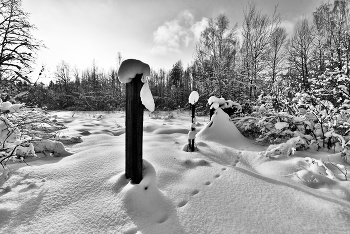 Следы за околицей ... / "Выйду в лес зимой я утром,
 Почитаю там следы;
 Это вовсе мне не трудно,
 Я с природою на "ты" ..."
 Е.Достман